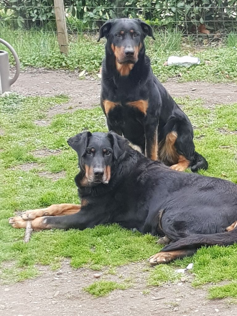 Photo de famille