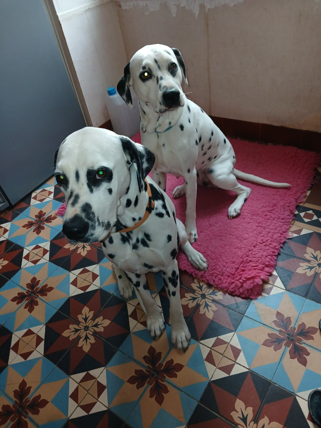 Mère et fille