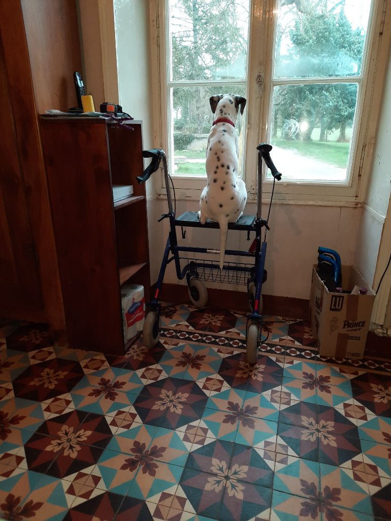 Bonne gardienne